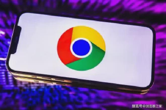 谷歌浏览器安全吗？隐私保护机制解析